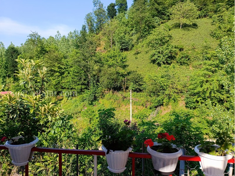 عکس شماره 857609 - کرایه ویلای جنگلی نزدیک فومن - 