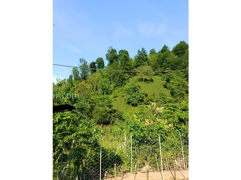 عکس شماره 857613 - کرایه ویلای جنگلی نزدیک فومن - 