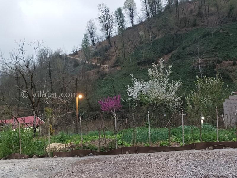 عکس شماره 857615 - کرایه ویلای جنگلی نزدیک فومن - 