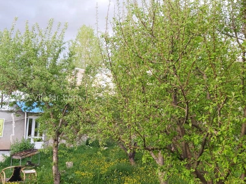 عکس شماره 857828 - اجاره اقامتگاه در تکاب روستای قینرجه -