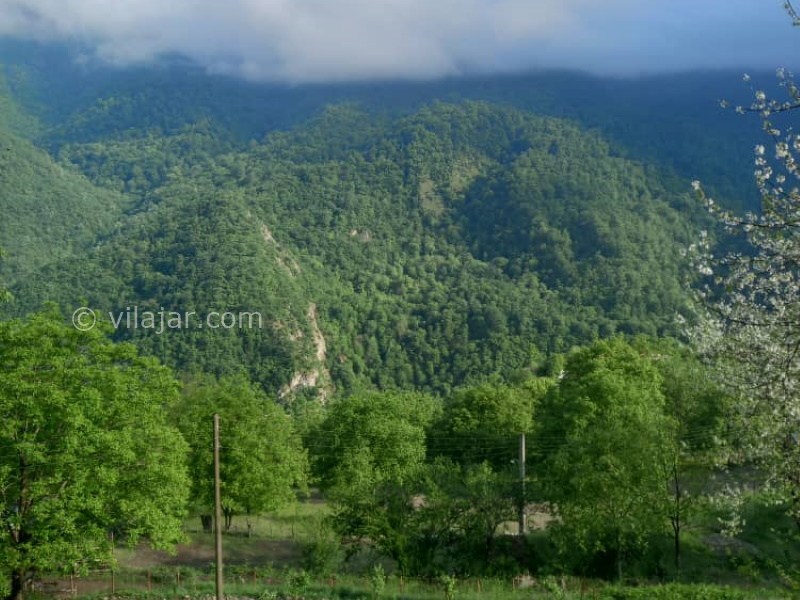 عکس شماره 858033 - کلبه چوبی ییلاقی نزدیک تالش - 