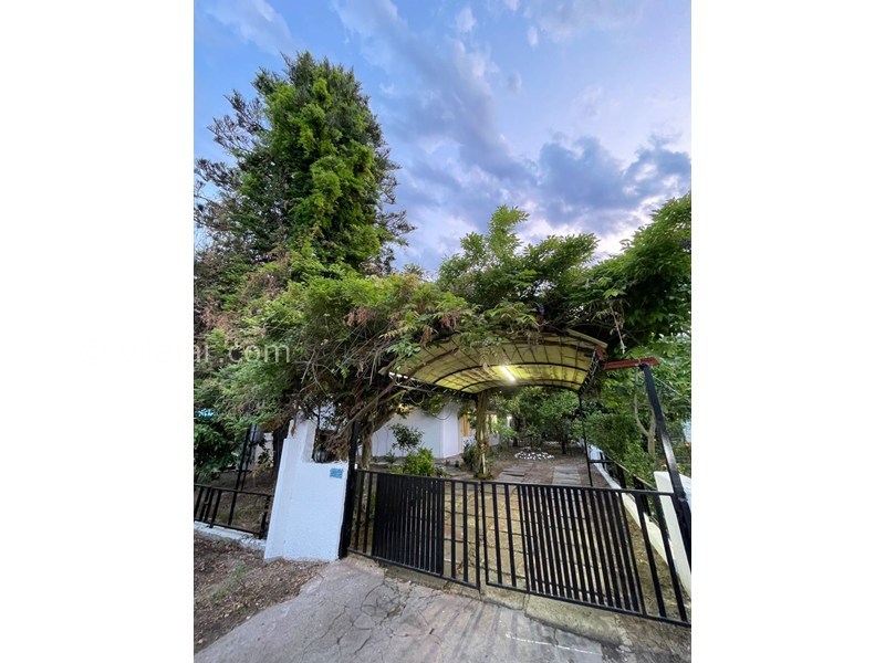 عکس شماره 860558 - اجاره ویلای 3 خوابه دریاکنار - 