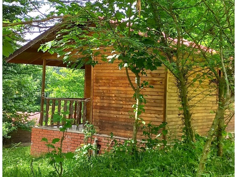 عکس شماره 862041 - کلبه های جنگلی پارک جوارم - 