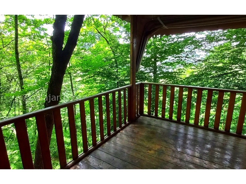 عکس شماره 862065 - کلبه های جنگلی پارک جوارم - 