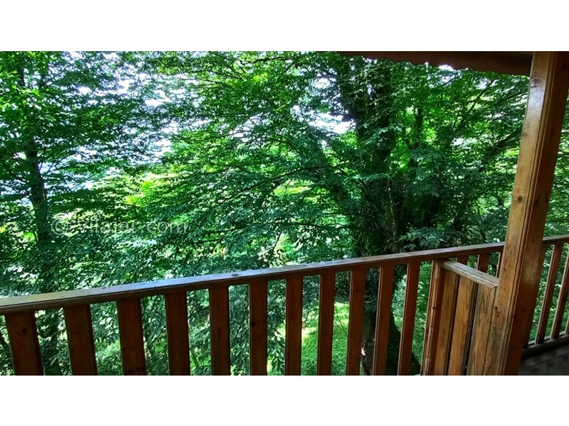 عکس شماره 862069 - کلبه های جنگلی پارک جوارم - 