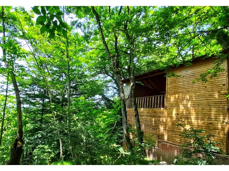 عکس شماره 862078 - کلبه های جنگلی پارک جوارم - 