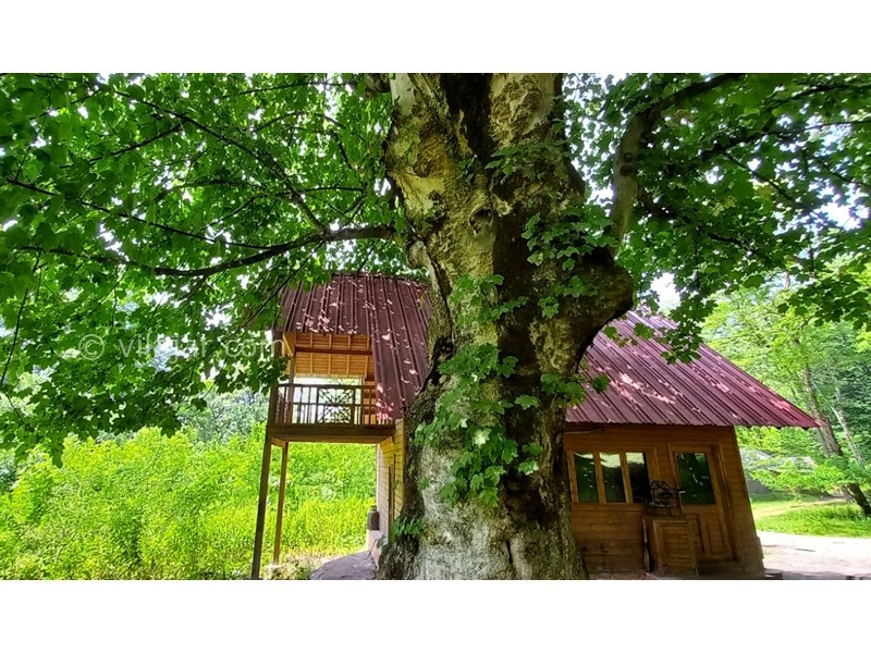 عکس شماره 862130 - کلبه های جنگلی پارک جوارم - 