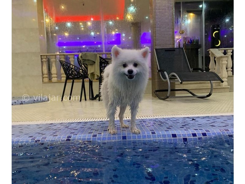 عکس شماره 862941 - اجاره ویلا لوکس در کلاردشت - 