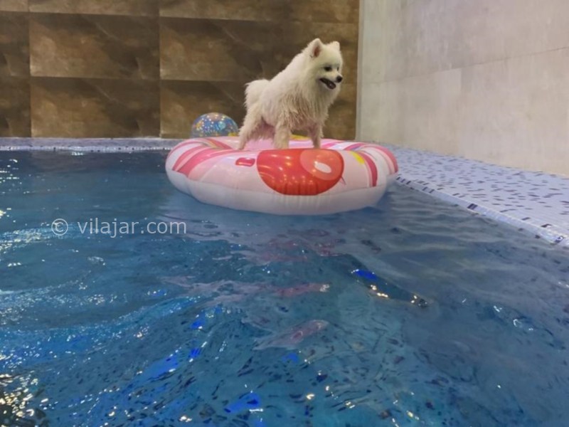 عکس شماره 862942 - اجاره ویلا لوکس در کلاردشت - 