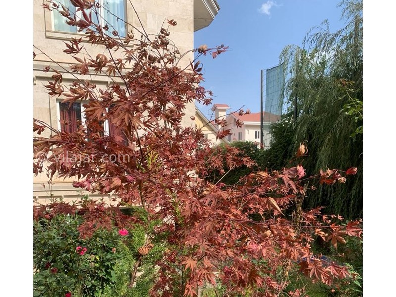 عکس شماره 862953 - اجاره ویلا لوکس در کلاردشت - 