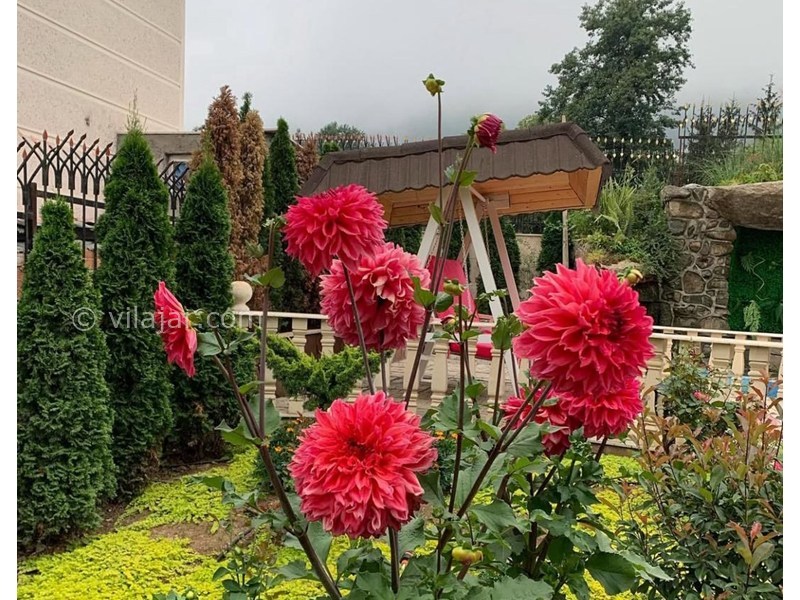 عکس شماره 862956 - اجاره ویلا لوکس در کلاردشت - 