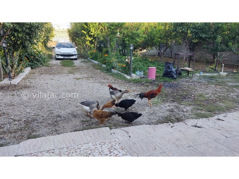 عکس شماره 863290 - اجاره ویلا باغ نزدیک اردبیل جبه دار -