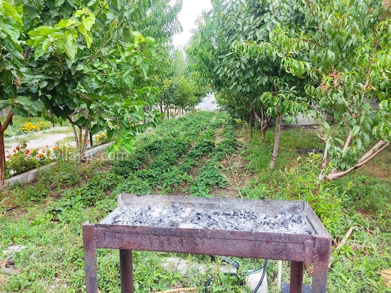 عکس شماره 863295 - اجاره ویلا باغ نزدیک اردبیل جبه دار -