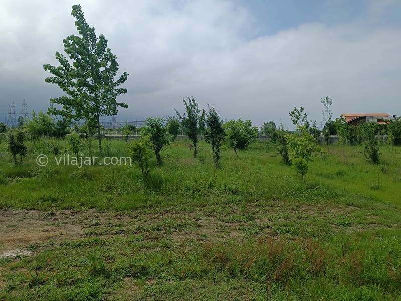 عکس شماره 864088 - اجاره کلبه چوبی در رضوانشهر -