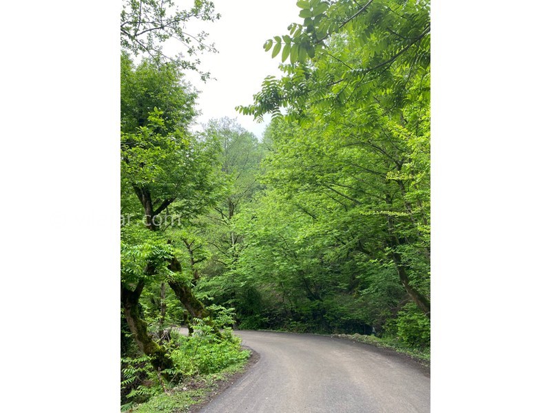 عکس شماره 864162 - اجاره ویلا چوبی در ماسال - 