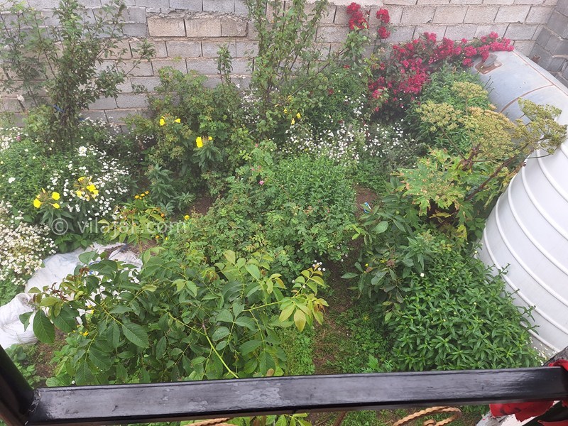 عکس شماره 864663 - اجاره ویلا ییلاقی ابرستان فیلبند -