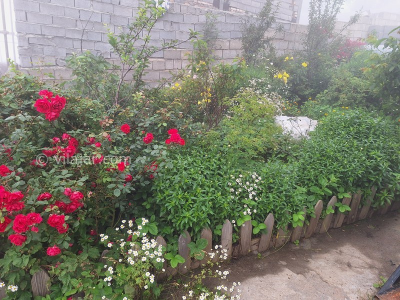 عکس شماره 864665 - اجاره ویلا ییلاقی ابرستان فیلبند -