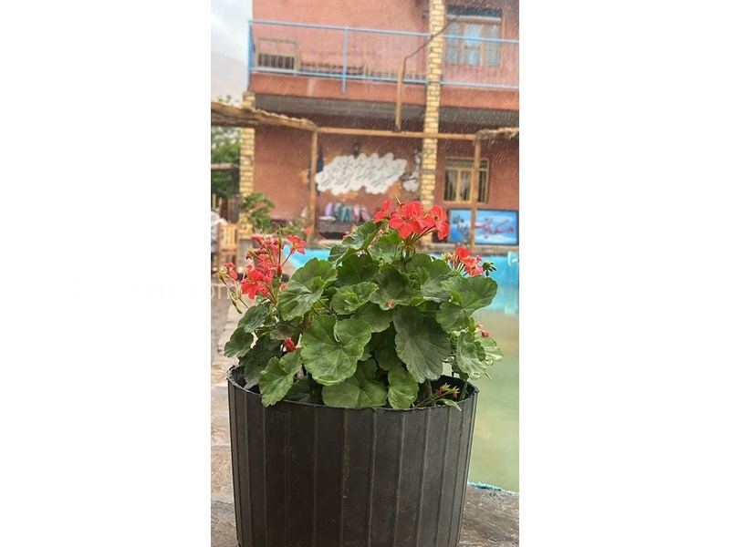 عکس شماره 864780 - اجاره ویلا استخردار نزدیک نیشابور -