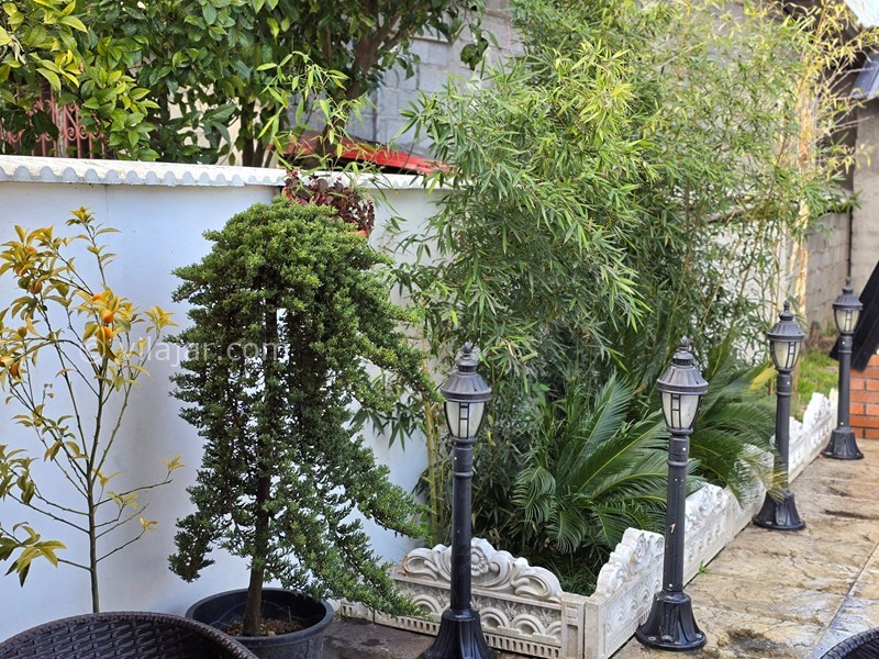 عکس شماره 864819 - اجاره ویلا سوئیسی در شیرود - 