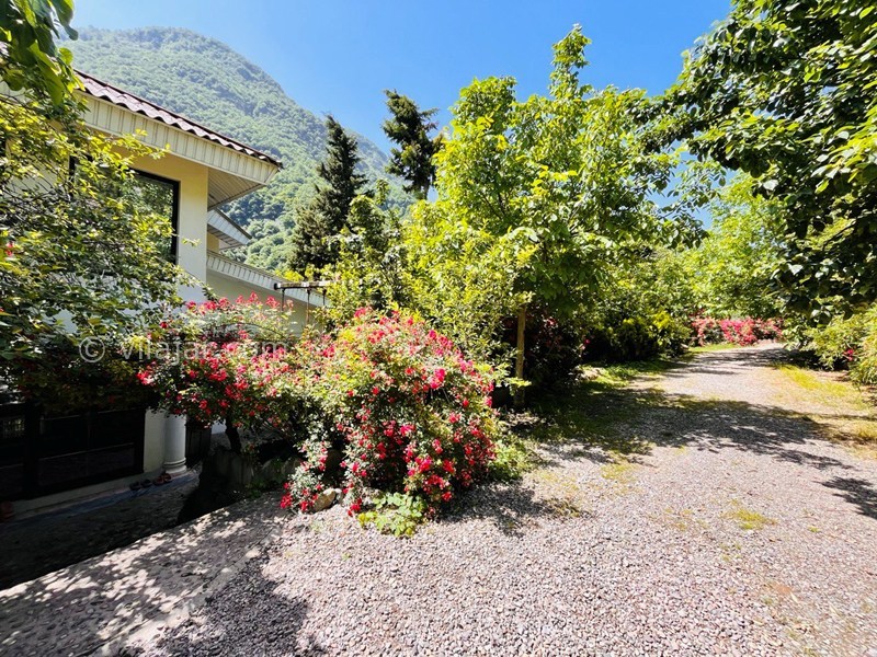 عکس شماره 864879 - ویلا ییلاقی جنگلی در جاده دوهزار -