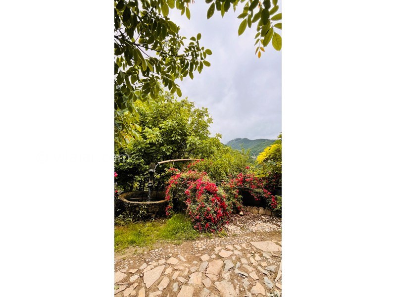 عکس شماره 864880 - ویلا ییلاقی جنگلی در جاده دوهزار -