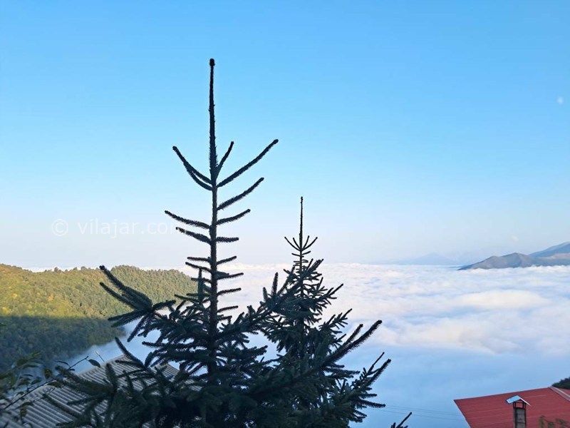 عکس شماره 864994 - اجاره اقامتگاه رامسر جنگل دالخانی - 
