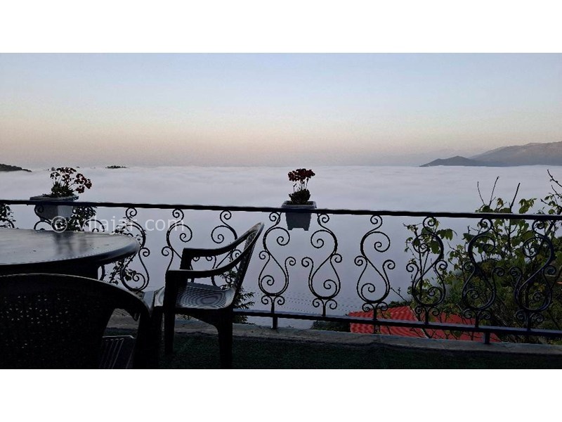 عکس شماره 865000 - اجاره اقامتگاه رامسر جنگل دالخانی - 