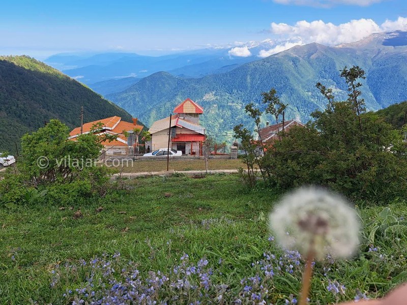 عکس شماره 865004 - اجاره اقامتگاه رامسر جنگل دالخانی - 