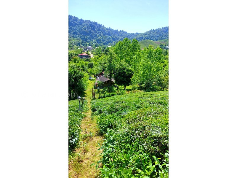 عکس شماره 865320 - اجاره خانه روستایی در فومن - 