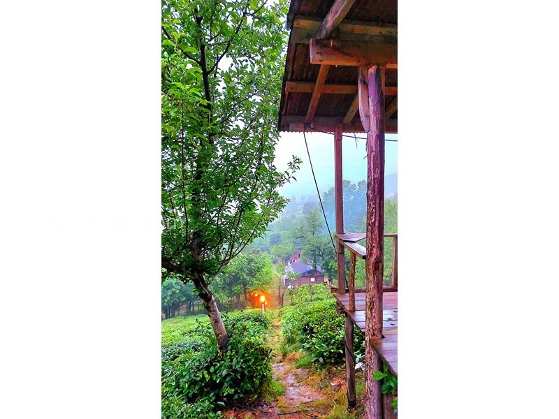 عکس شماره 865321 - اجاره خانه روستایی در فومن - 