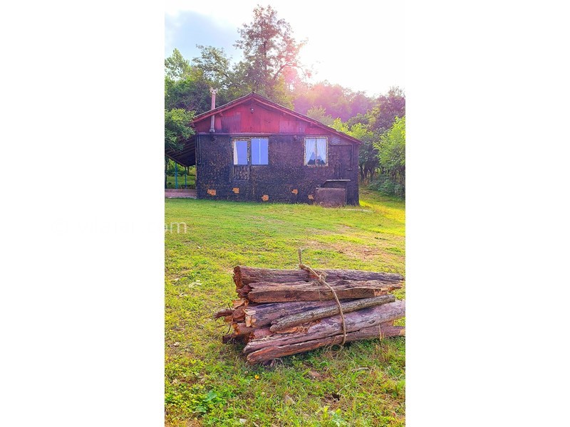 عکس شماره 865322 - اجاره خانه روستایی در فومن - 