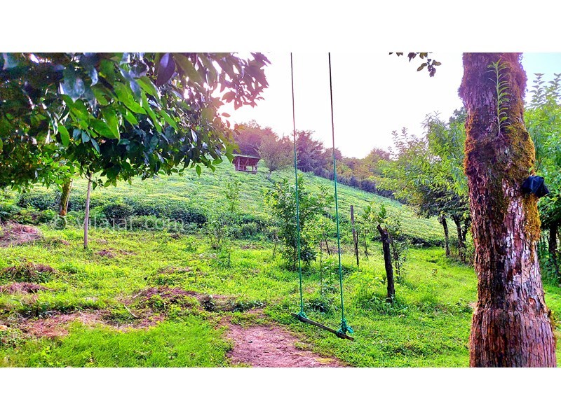 عکس شماره 865323 - اجاره خانه روستایی در فومن - 