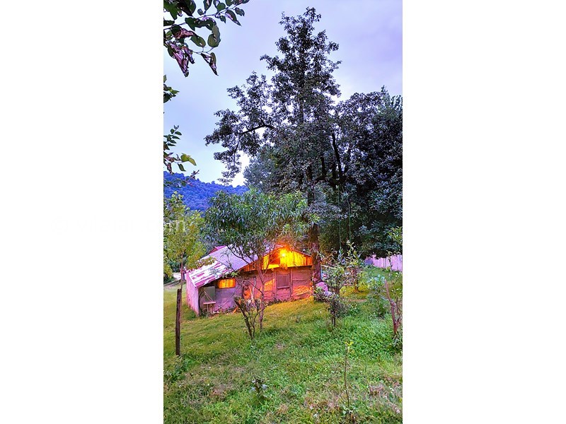 عکس شماره 865328 - اجاره خانه روستایی در فومن - 