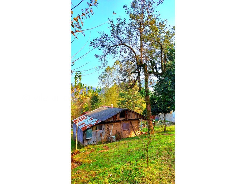 عکس شماره 865345 - اجاره خانه روستایی در فومن - 