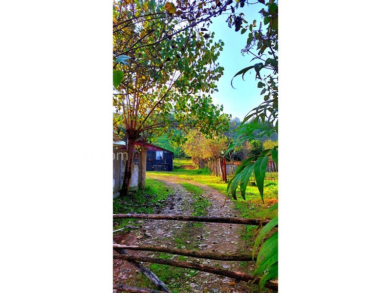 عکس شماره 865347 - اجاره خانه روستایی در فومن - 