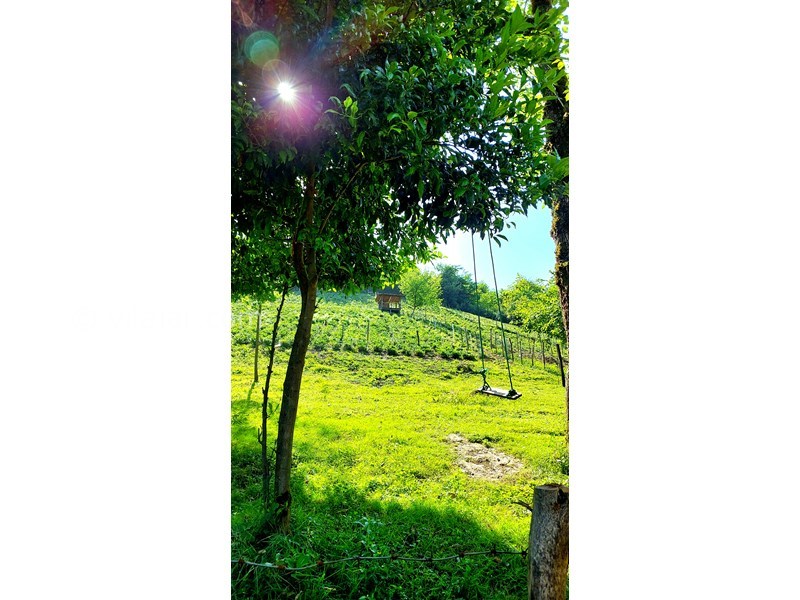 عکس شماره 865353 - اجاره خانه روستایی در فومن - 