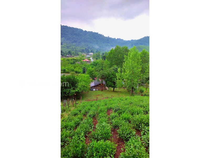 عکس شماره 865354 - اجاره خانه روستایی در فومن - 