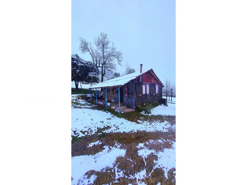 عکس شماره 865358 - اجاره خانه روستایی در فومن - 