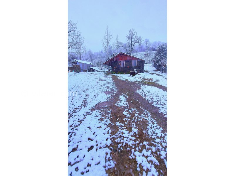 عکس شماره 865360 - اجاره خانه روستایی در فومن - 