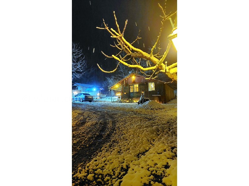 عکس شماره 865362 - اجاره خانه روستایی در فومن - 