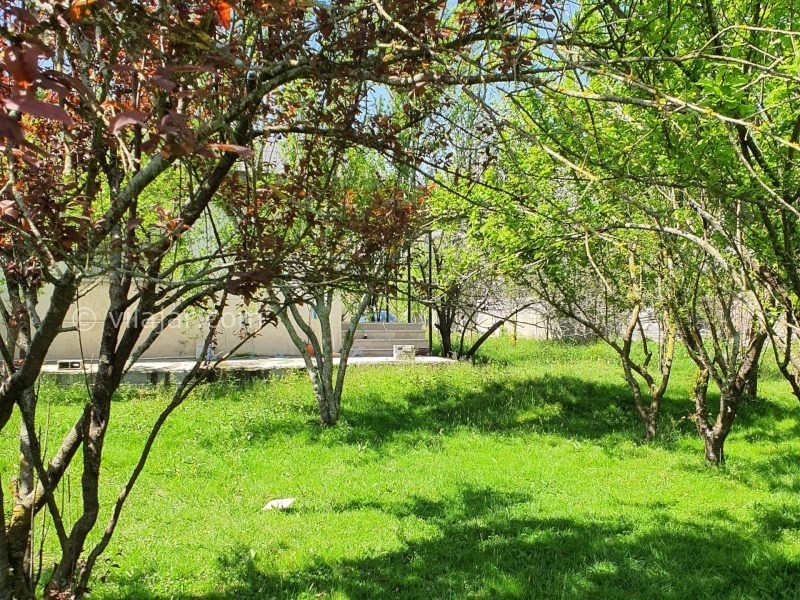 عکس شماره 865581 - اجاره ویلای جنگلی ماسال استخر آبگرم - ویوی حیاط باغ ویلا