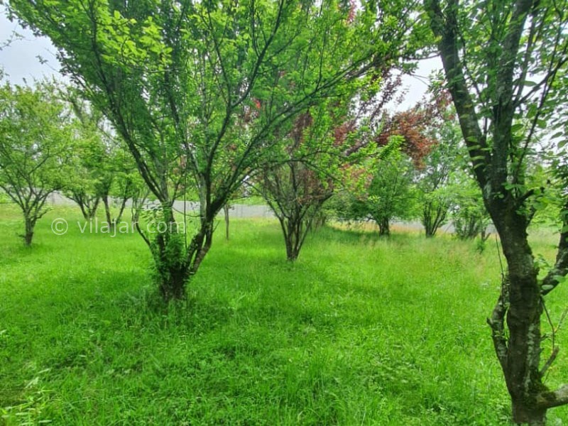 عکس شماره 865585 - اجاره ویلای جنگلی ماسال استخر آبگرم - درختان رنگارنگ باغ ویلا