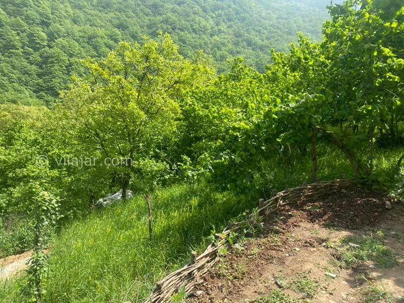 عکس شماره 865875 - اقامتگاه بومگردی باغ فندق جاده 2000 - 