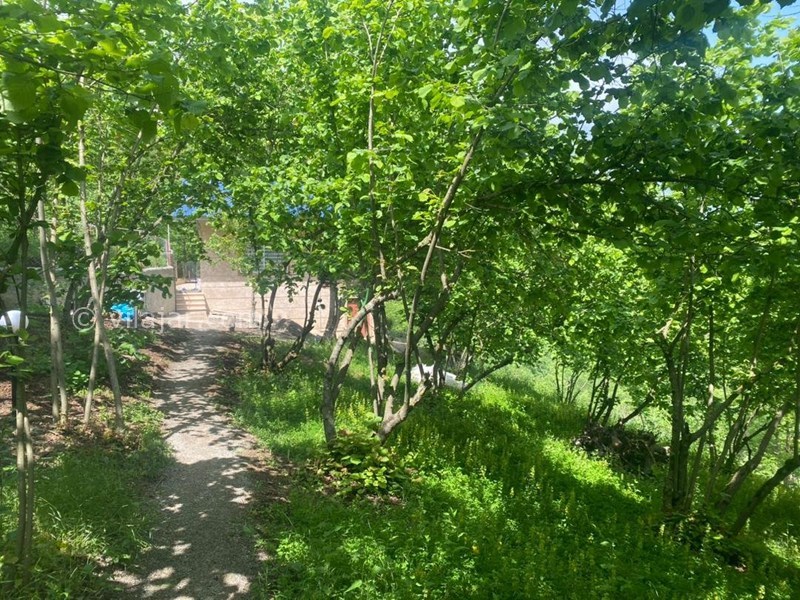 عکس شماره 865876 - اقامتگاه بومگردی باغ فندق جاده 2000 - 