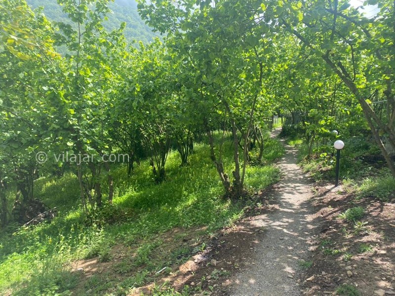 عکس شماره 865877 - اقامتگاه بومگردی باغ فندق جاده 2000 - 