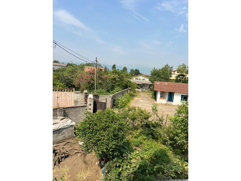 عکس شماره 865900 - اجاره کلبه در تالش ساحل کالفورو - 