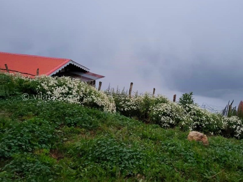 عکس شماره 866699 - اجاره کلبه چوبی در اولسبلنگاه ماسال - 