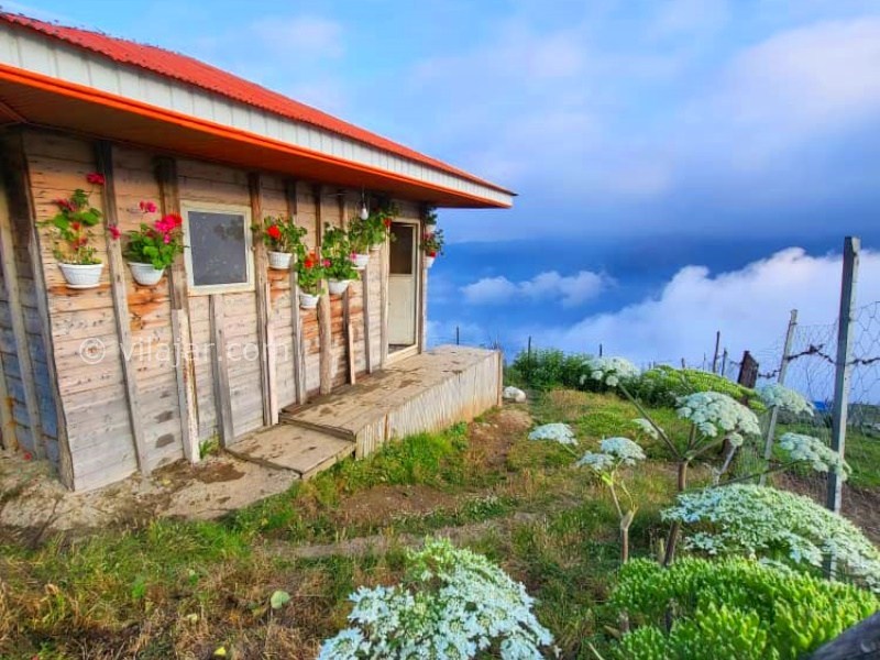 عکس شماره 866703 - اجاره کلبه چوبی در اولسبلنگاه ماسال - 