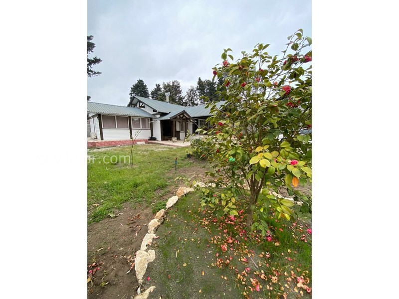 عکس شماره 867618 - اجاره ویلا ساحلی در رامسر - 