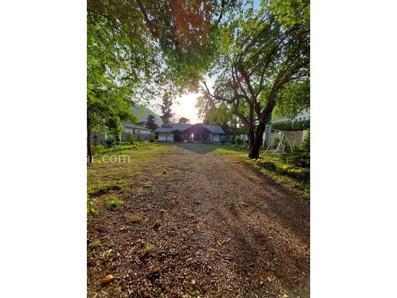 عکس شماره 867628 - اجاره ویلا ساحلی در رامسر - 